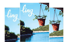 Размещение рекламы в журнале Ling